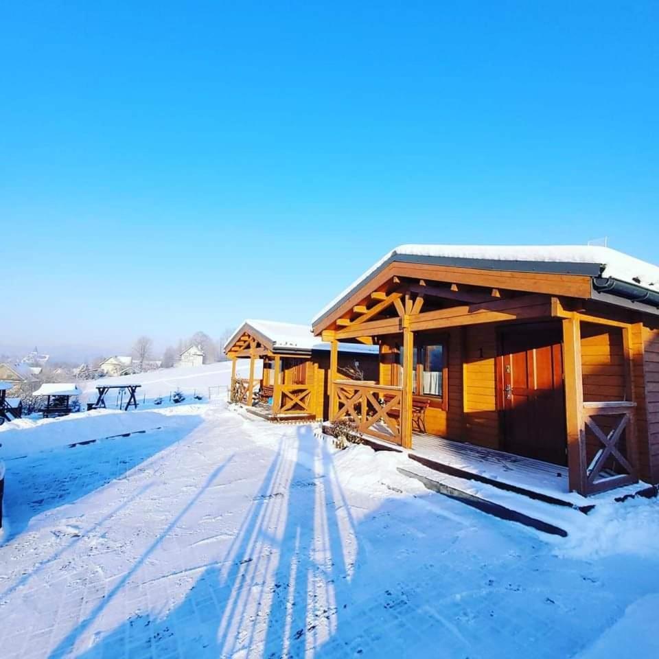 Вилла Domki Pod Lasem Rokiciny Podhalanskie Экстерьер фото